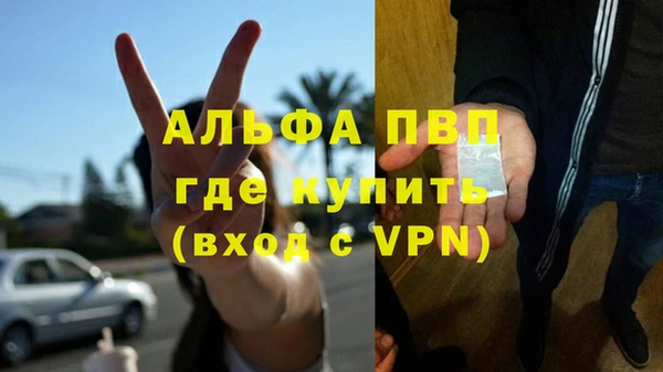 спиды Аркадак