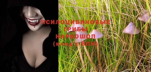 спиды Аркадак