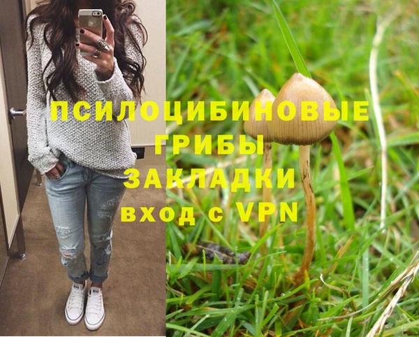 гашик Армянск