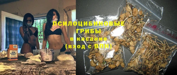 гашик Армянск