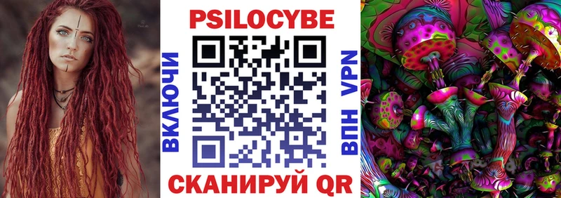 где продают   Баксан  Псилоцибиновые грибы прущие грибы 